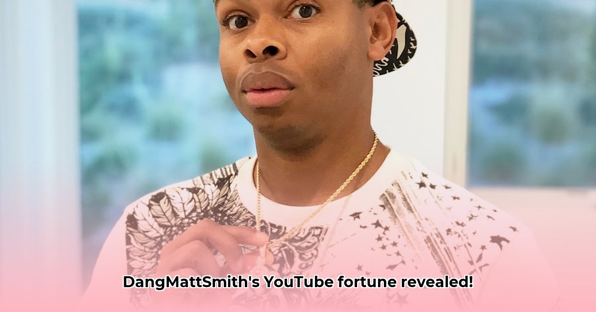 dangmattsmith-net-worth